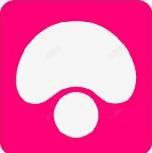 蘑菇影视专题解析与资源导航站