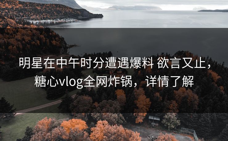 明星在中午时分遭遇爆料 欲言又止，糖心vlog全网炸锅，详情了解