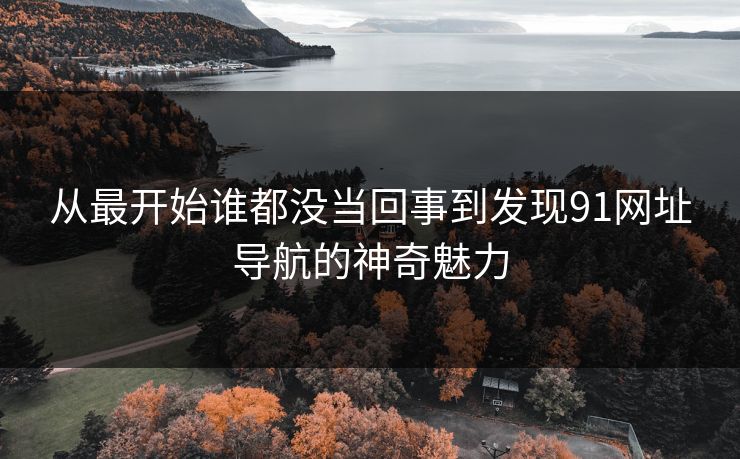 从最开始谁都没当回事到发现91网址导航的神奇魅力