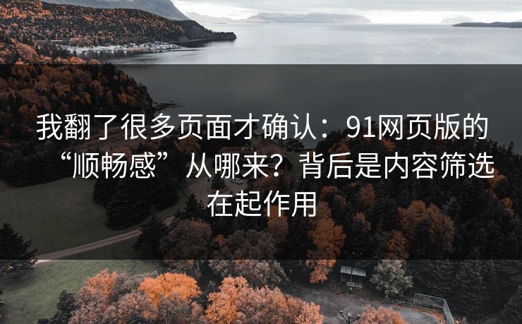 我翻了很多页面才确认：91网页版的“顺畅感”从哪来？背后是内容筛选在起作用