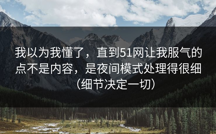 我以为我懂了，直到51网让我服气的点不是内容，是夜间模式处理得很细（细节决定一切）